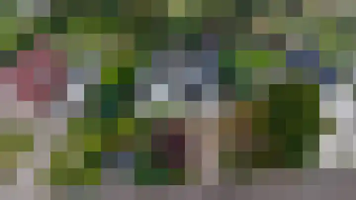 Grevelingenhout 187 Bruinisse thumbnail 50