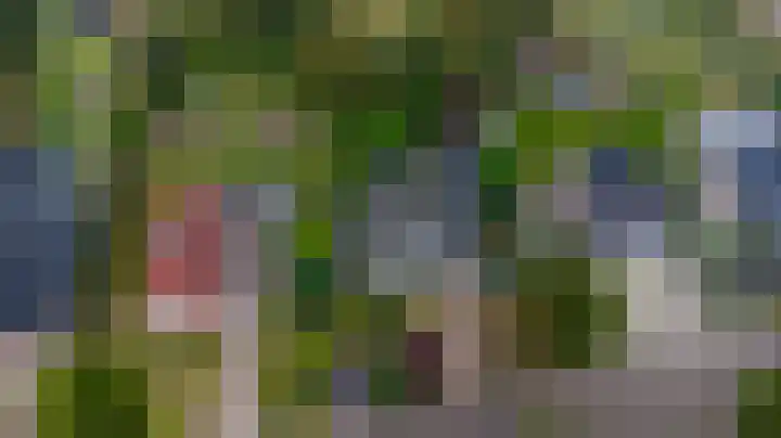 Grevelingenhout 187 Bruinisse thumbnail 53