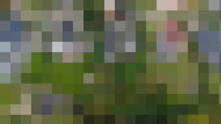 Grevelingenhout 187 Bruinisse thumbnail 54