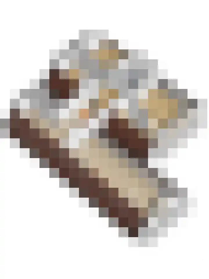 Grevelingenhout 187 Bruinisse thumbnail 62