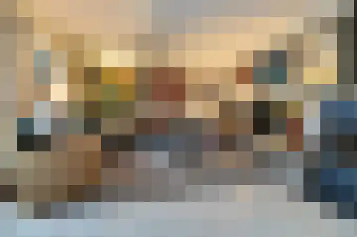 Grevelingenhout 187 Bruinisse thumbnail 8