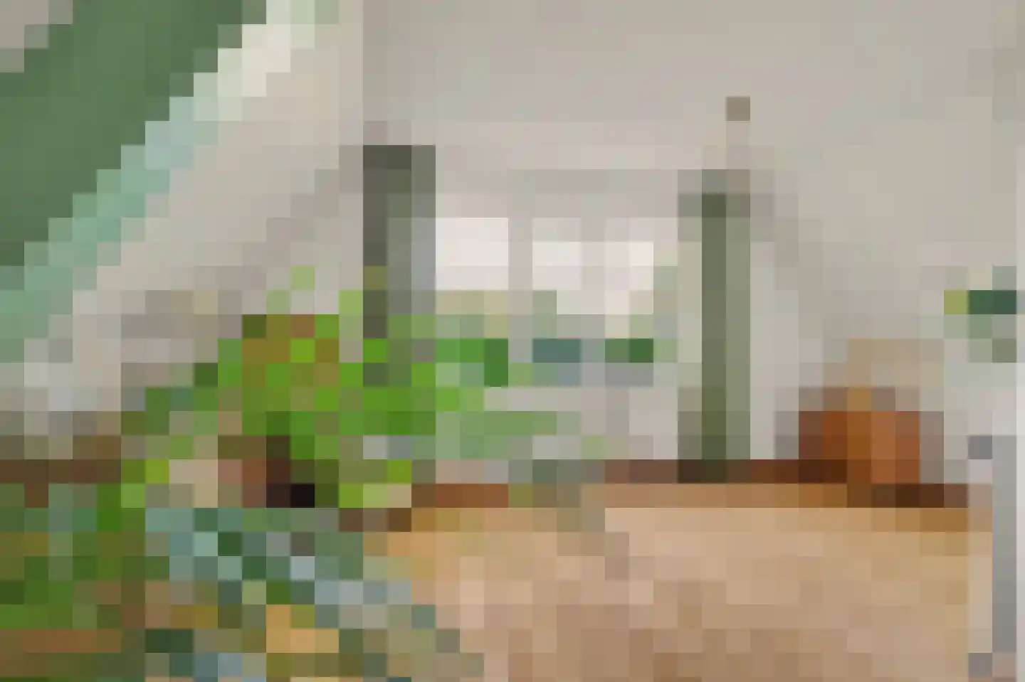 Grevelingenhout 31 Bruinisse thumbnail 36
