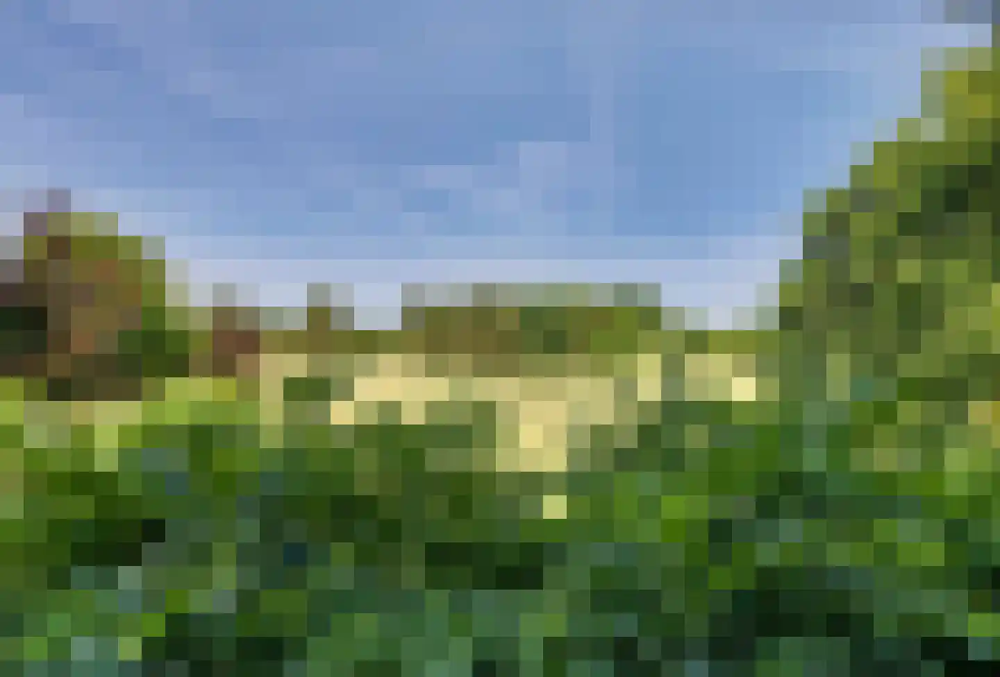 Grevelingenhout 31 Bruinisse thumbnail 40