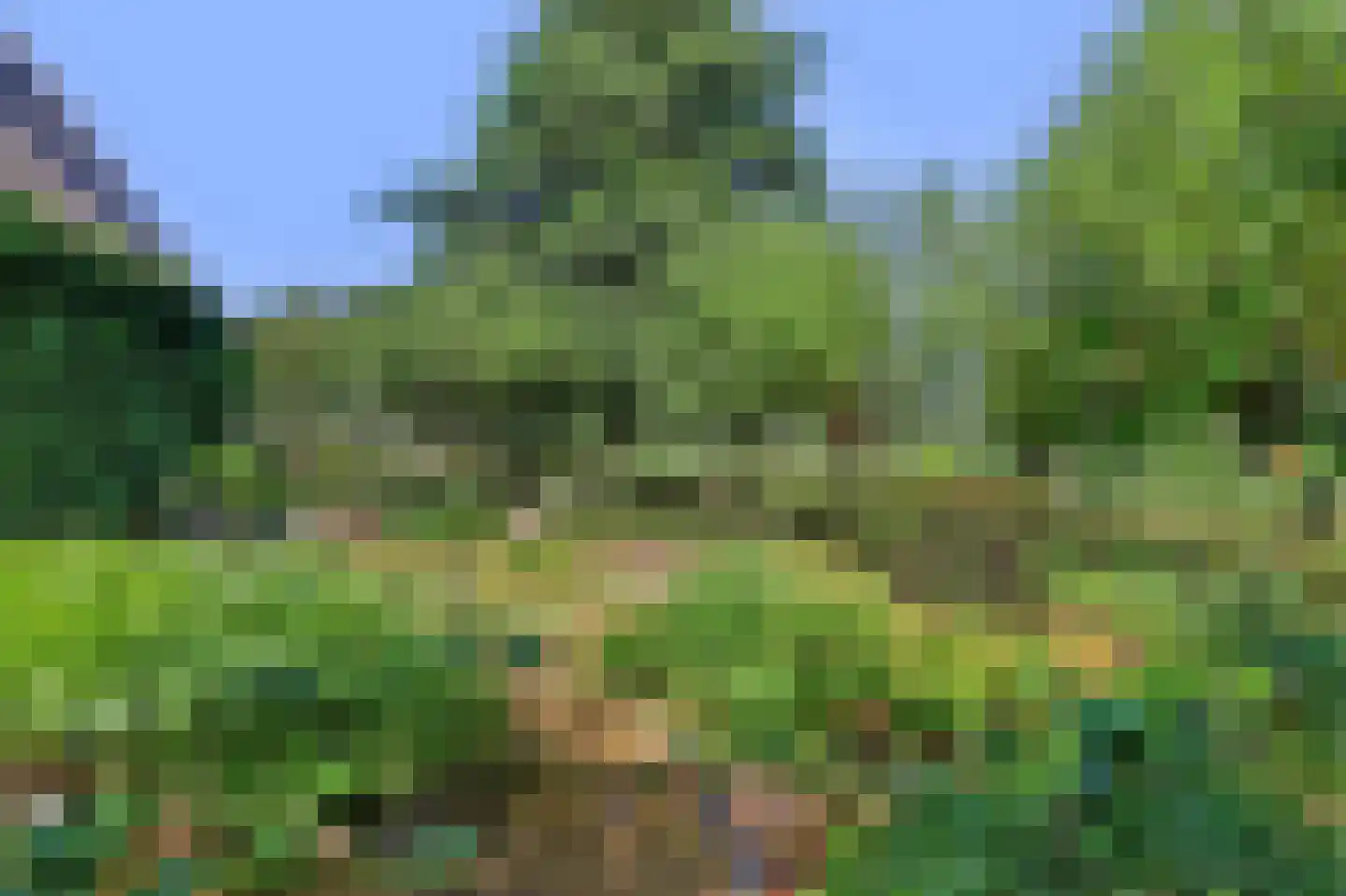 Grevelingenhout 31 Bruinisse thumbnail 41