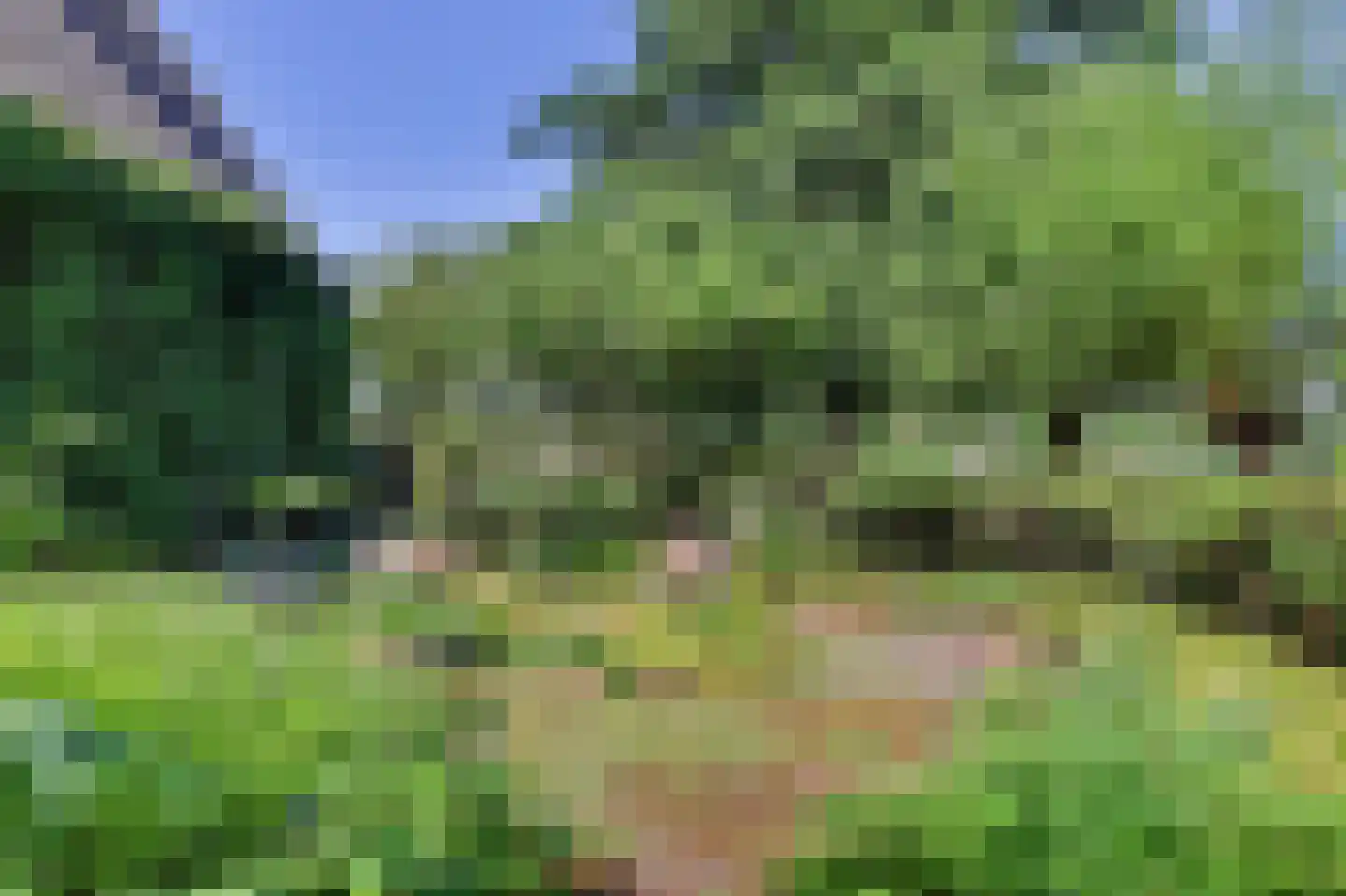 Grevelingenhout 31 Bruinisse thumbnail 42