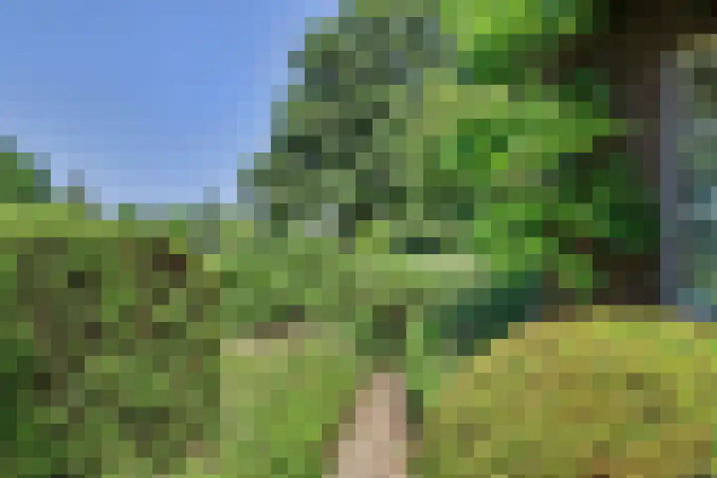 Grevelingenhout 31 Bruinisse thumbnail 52