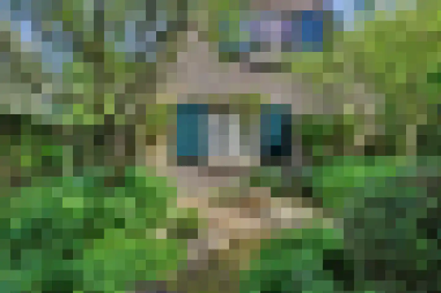Grevelingenhout 31 Bruinisse thumbnail 54