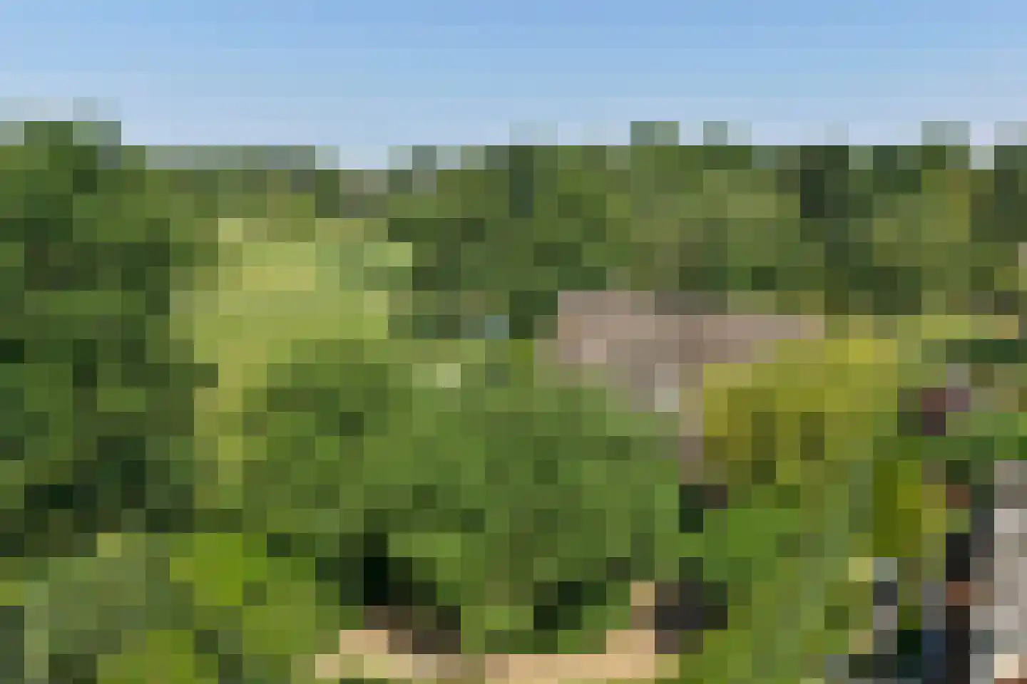 Grevelingenhout 31 Bruinisse thumbnail 57