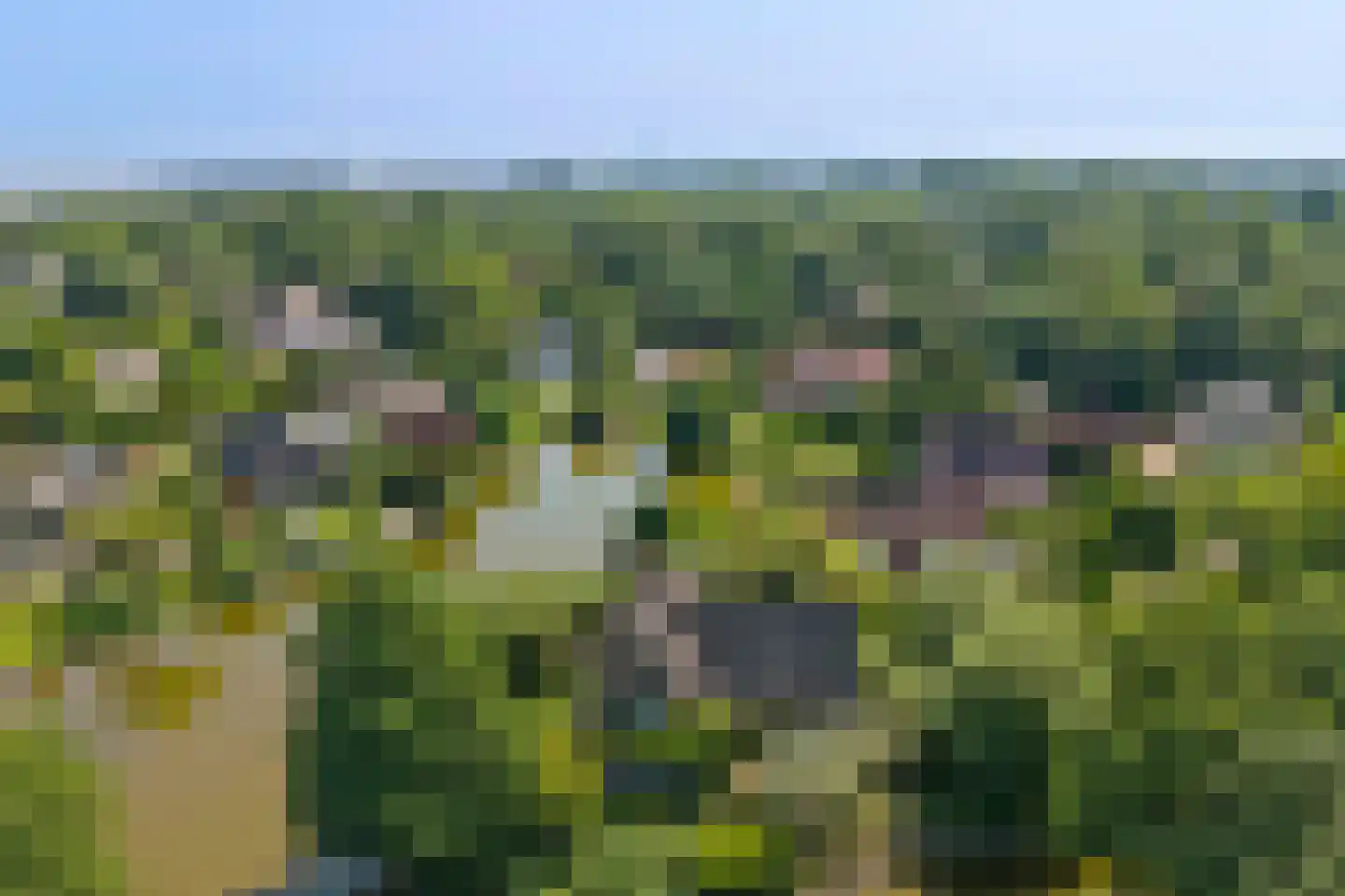 Grevelingenhout 31 Bruinisse thumbnail 58