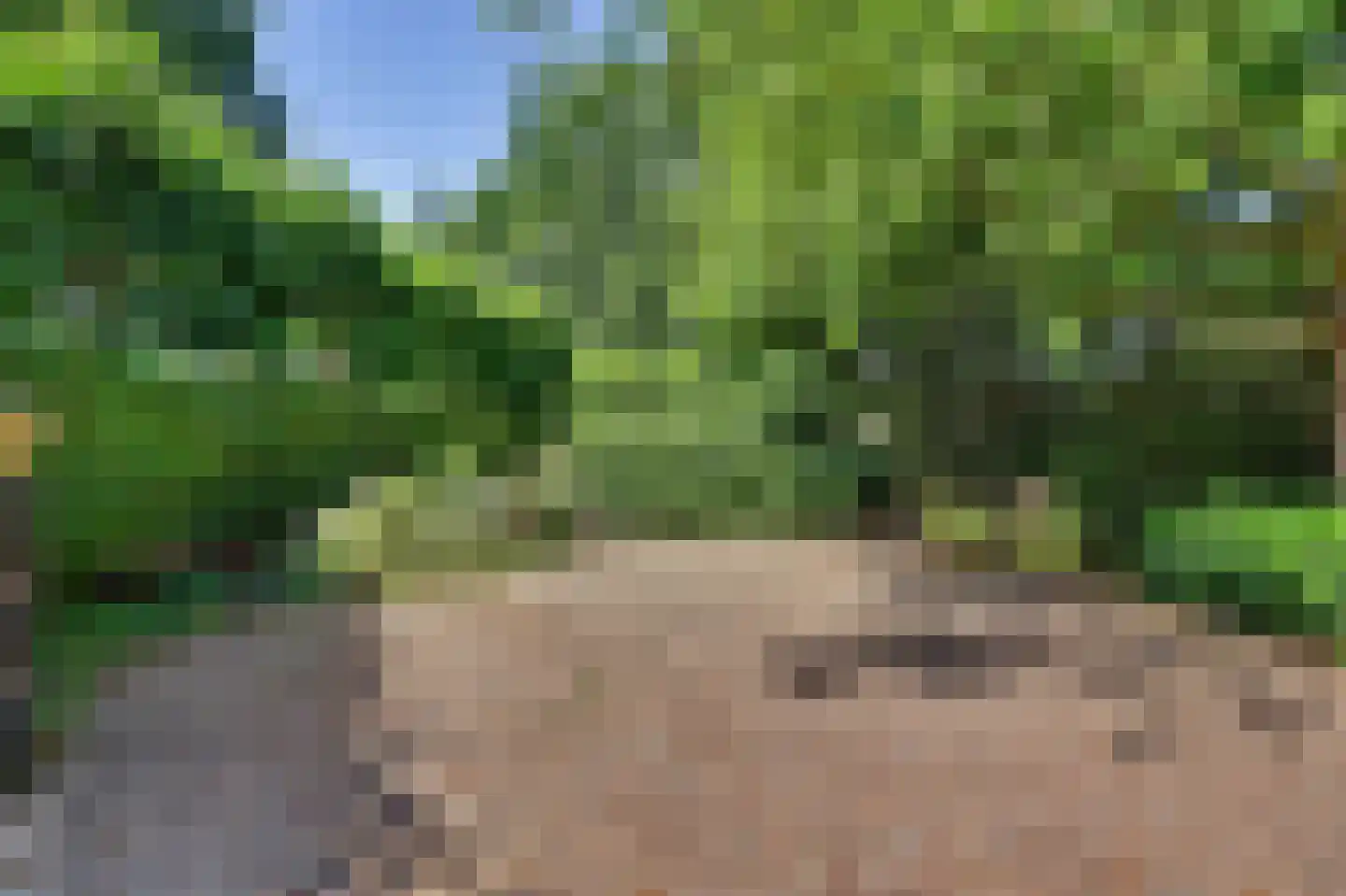Grevelingenhout 31 Bruinisse thumbnail 6