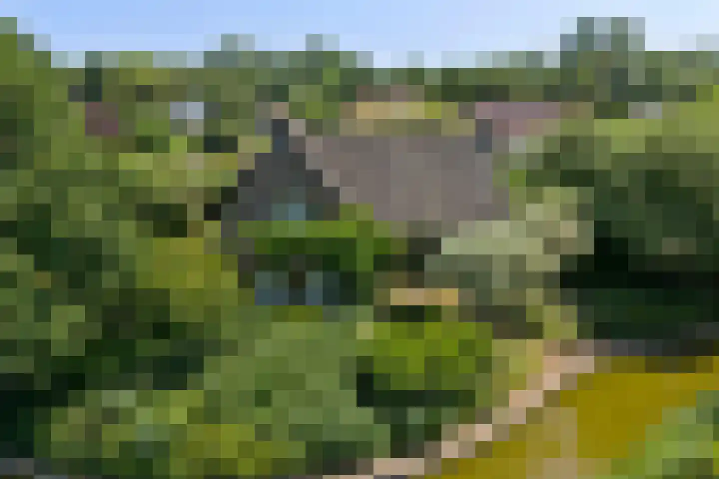 Grevelingenhout 31 Bruinisse thumbnail 60