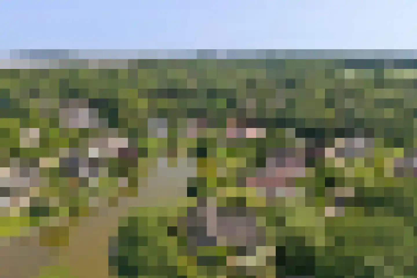 Grevelingenhout 31 Bruinisse thumbnail 63
