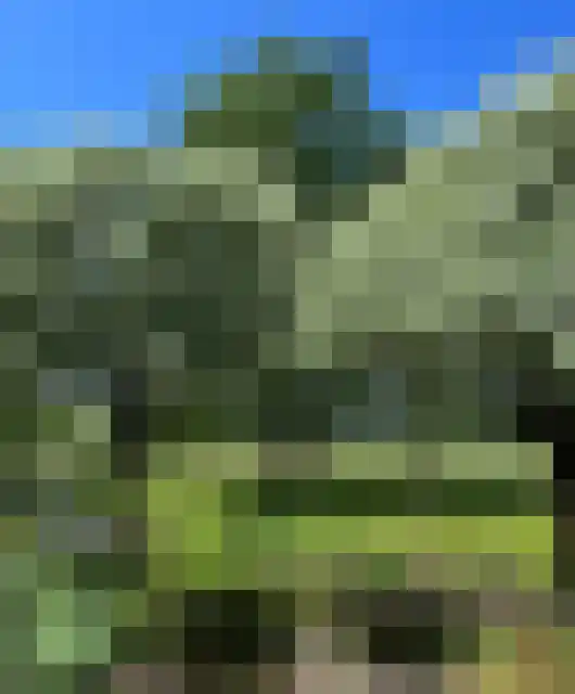 Grevelingenhout 31 Bruinisse thumbnail 67