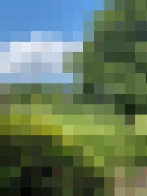 Grevelingenhout 31 Bruinisse thumbnail 68