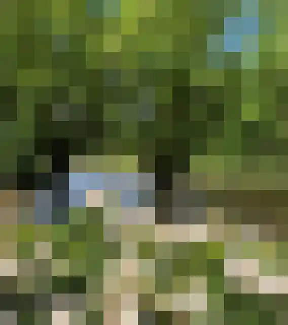 Grevelingenhout 31 Bruinisse thumbnail 69