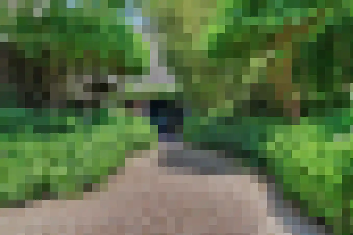 Grevelingenhout 31 Bruinisse thumbnail 7