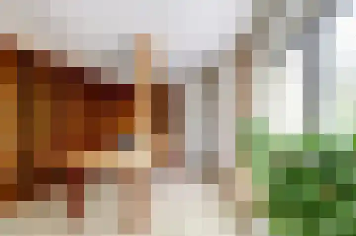 Grevelingenhout 51 Bruinisse thumbnail 15