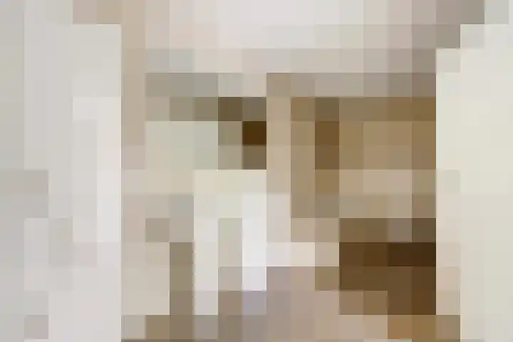 Grevelingenhout 51 Bruinisse thumbnail 18