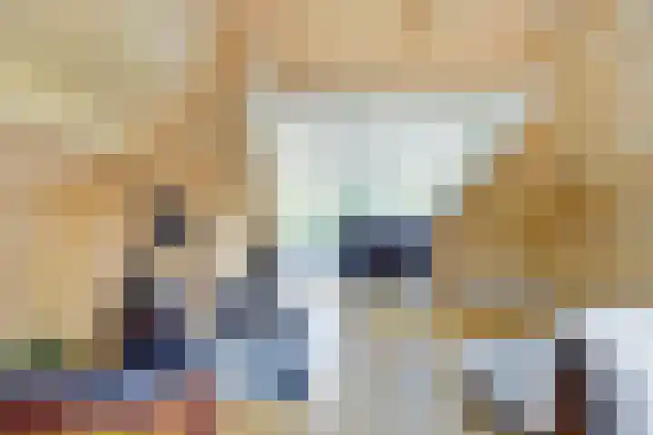 Grevelingenhout 51 Bruinisse thumbnail 22