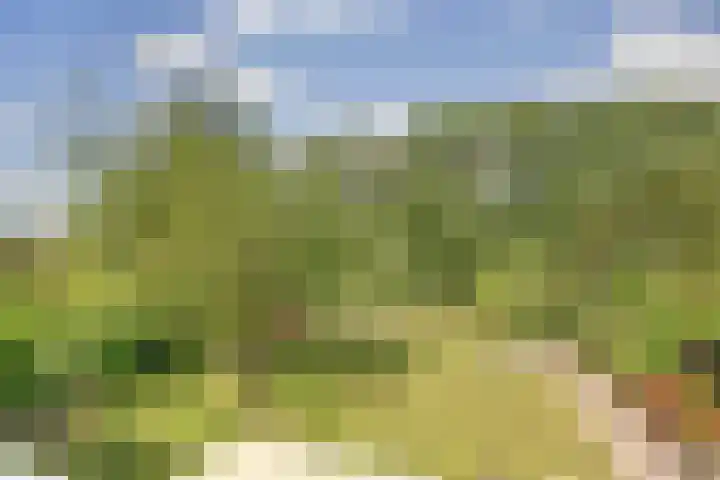 Grevelingenhout 51 Bruinisse thumbnail 24