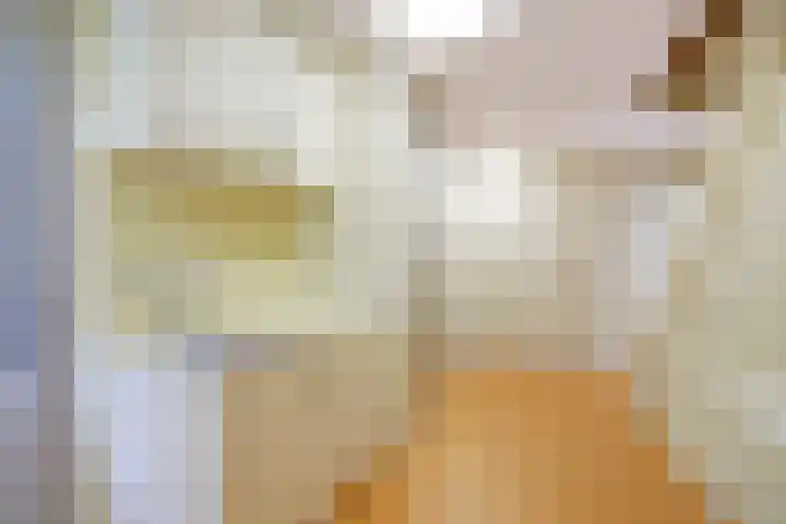 Grevelingenhout 51 Bruinisse thumbnail 25