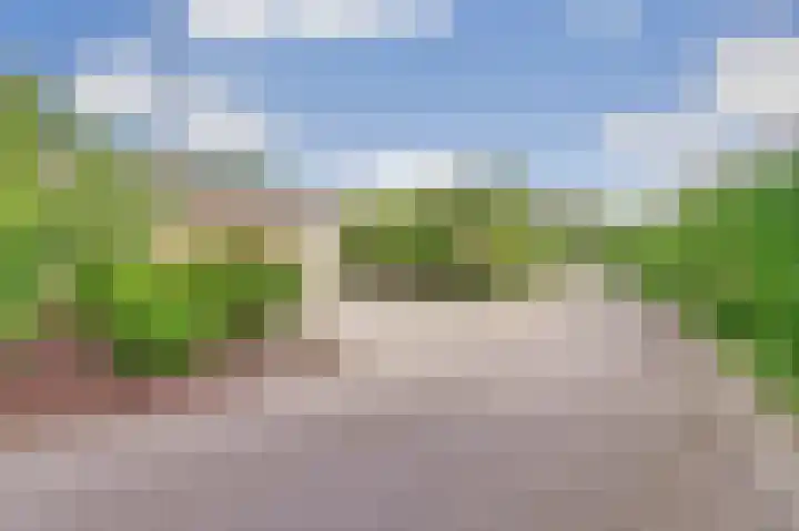 Grevelingenhout 51 Bruinisse thumbnail 27