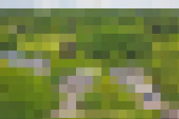 Grevelingenhout 51 Bruinisse thumbnail 33
