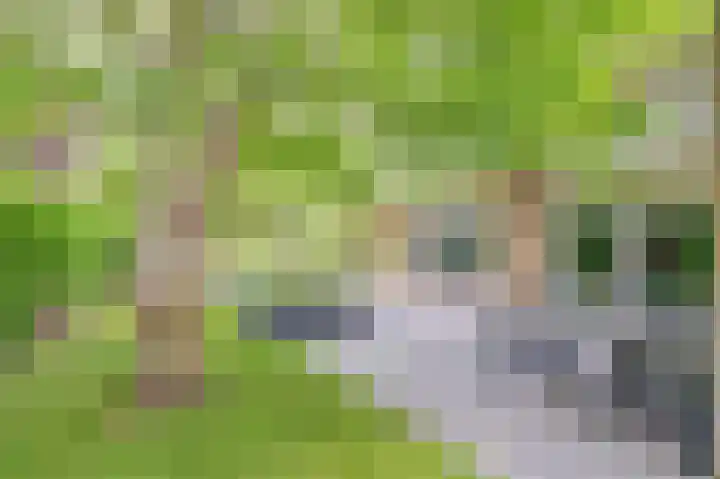 Grevelingenhout 51 Bruinisse thumbnail 4