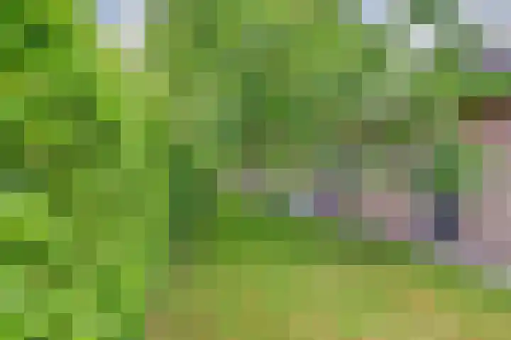 Grevelingenhout 51 Bruinisse thumbnail 5