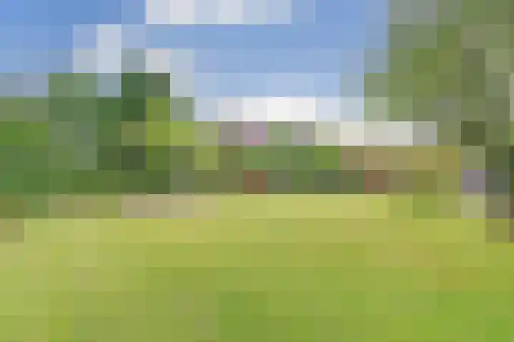 Grevelingenhout 51 Bruinisse thumbnail 6