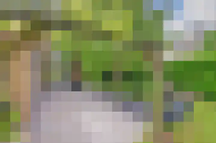 Grevelingenhout 51 Bruinisse thumbnail 7