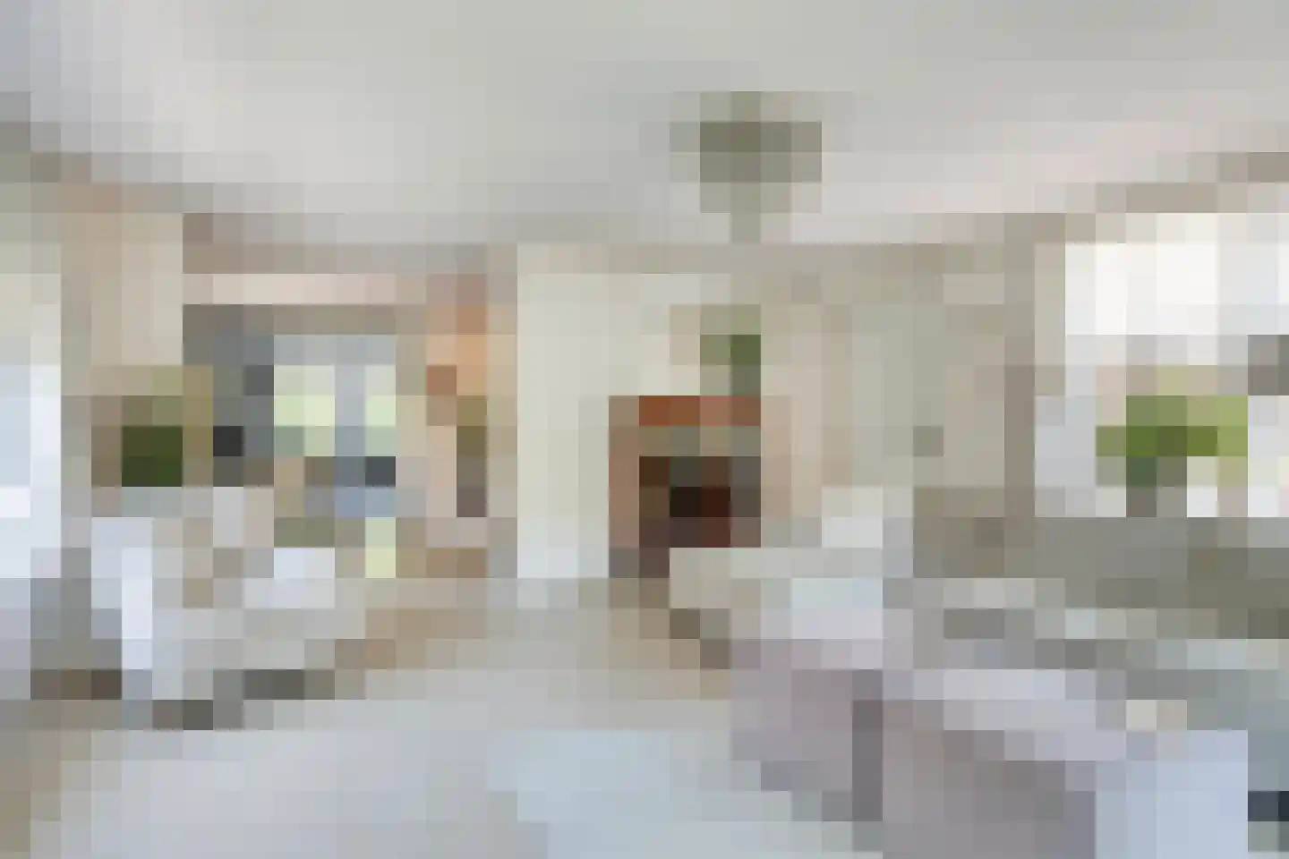 Grevelingenhout 57 Bruinisse thumbnail 23