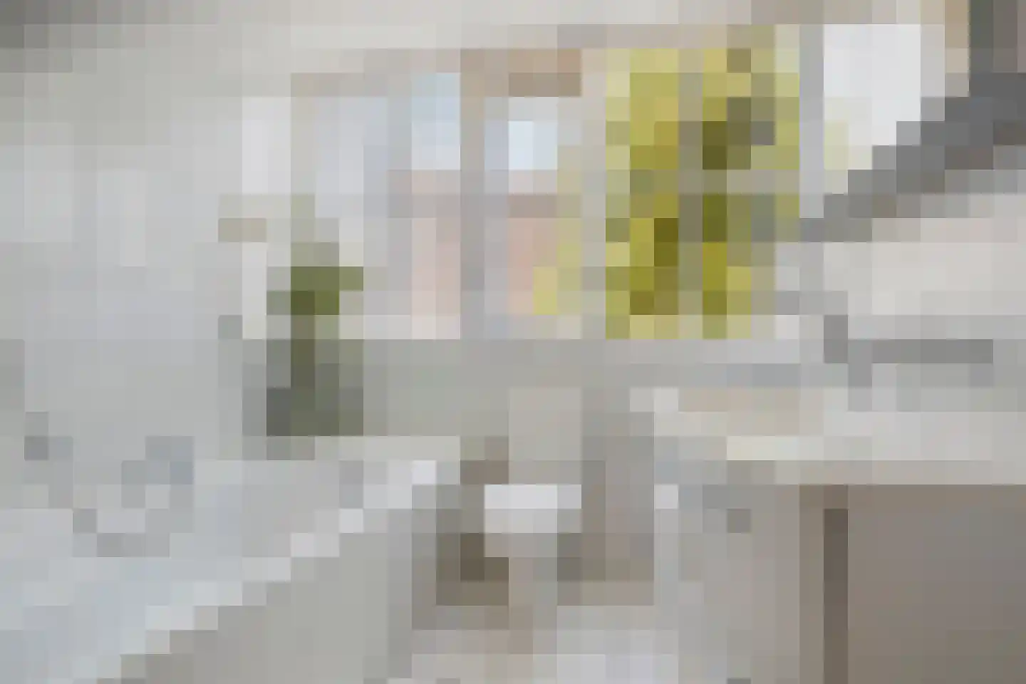 Grevelingenhout 57 Bruinisse thumbnail 33