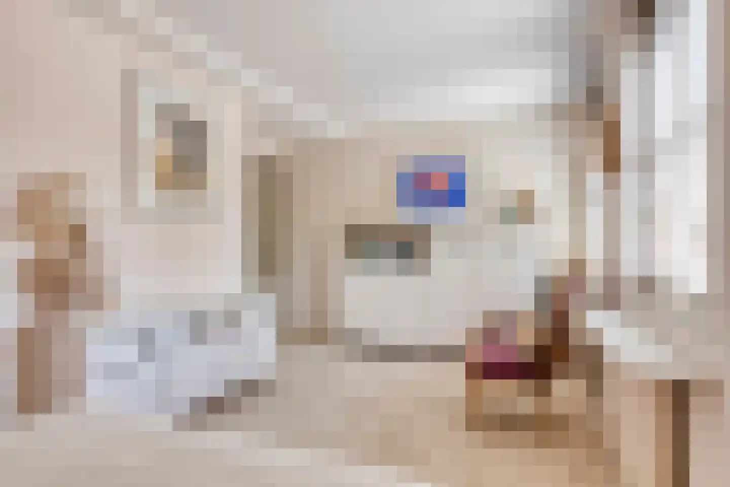 Grevelingenhout 57 Bruinisse thumbnail 37