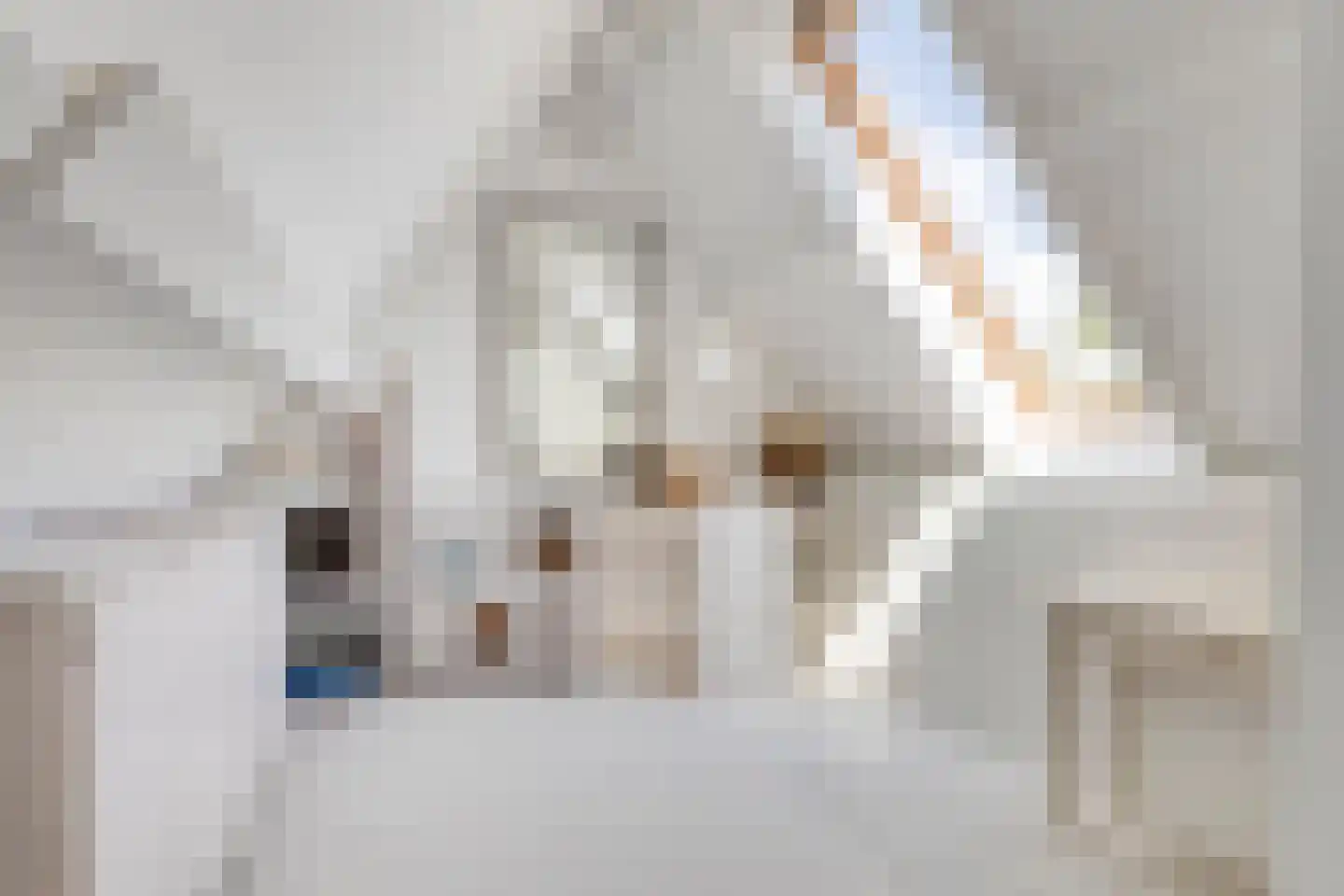 Grevelingenhout 57 Bruinisse thumbnail 42