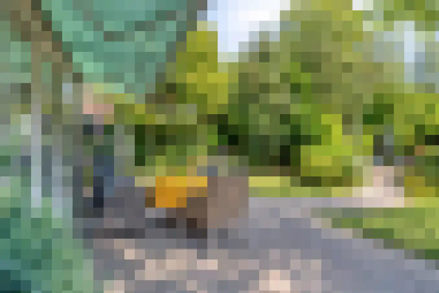 Grevelingenhout 57 Bruinisse thumbnail 47