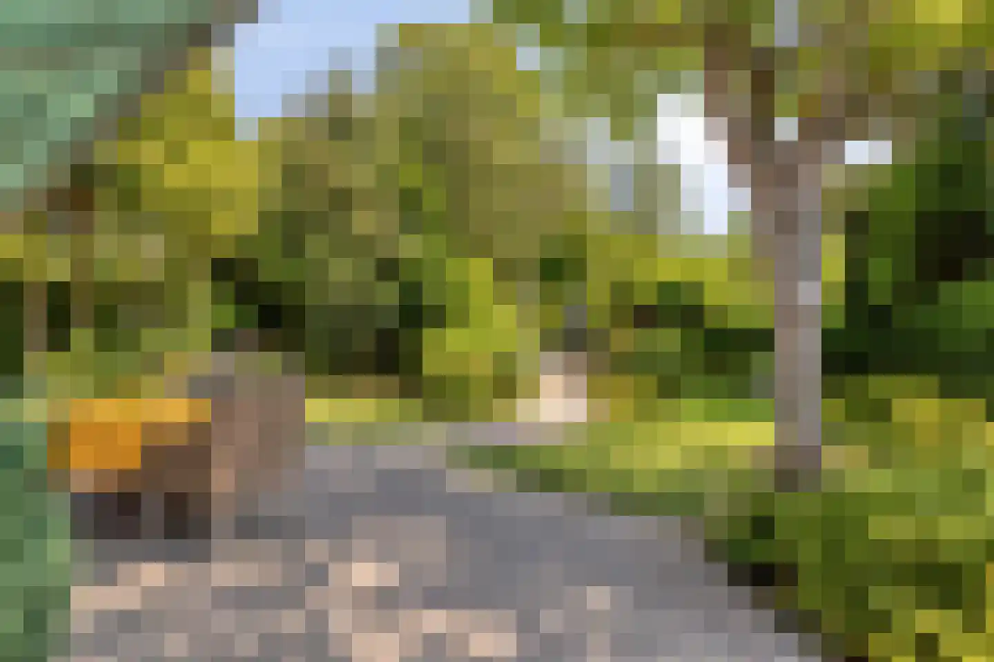 Grevelingenhout 57 Bruinisse thumbnail 49