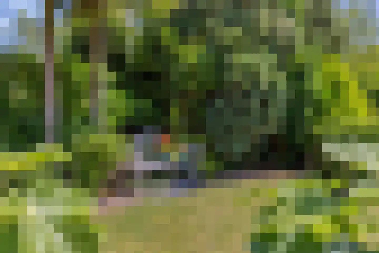 Grevelingenhout 57 Bruinisse thumbnail 51
