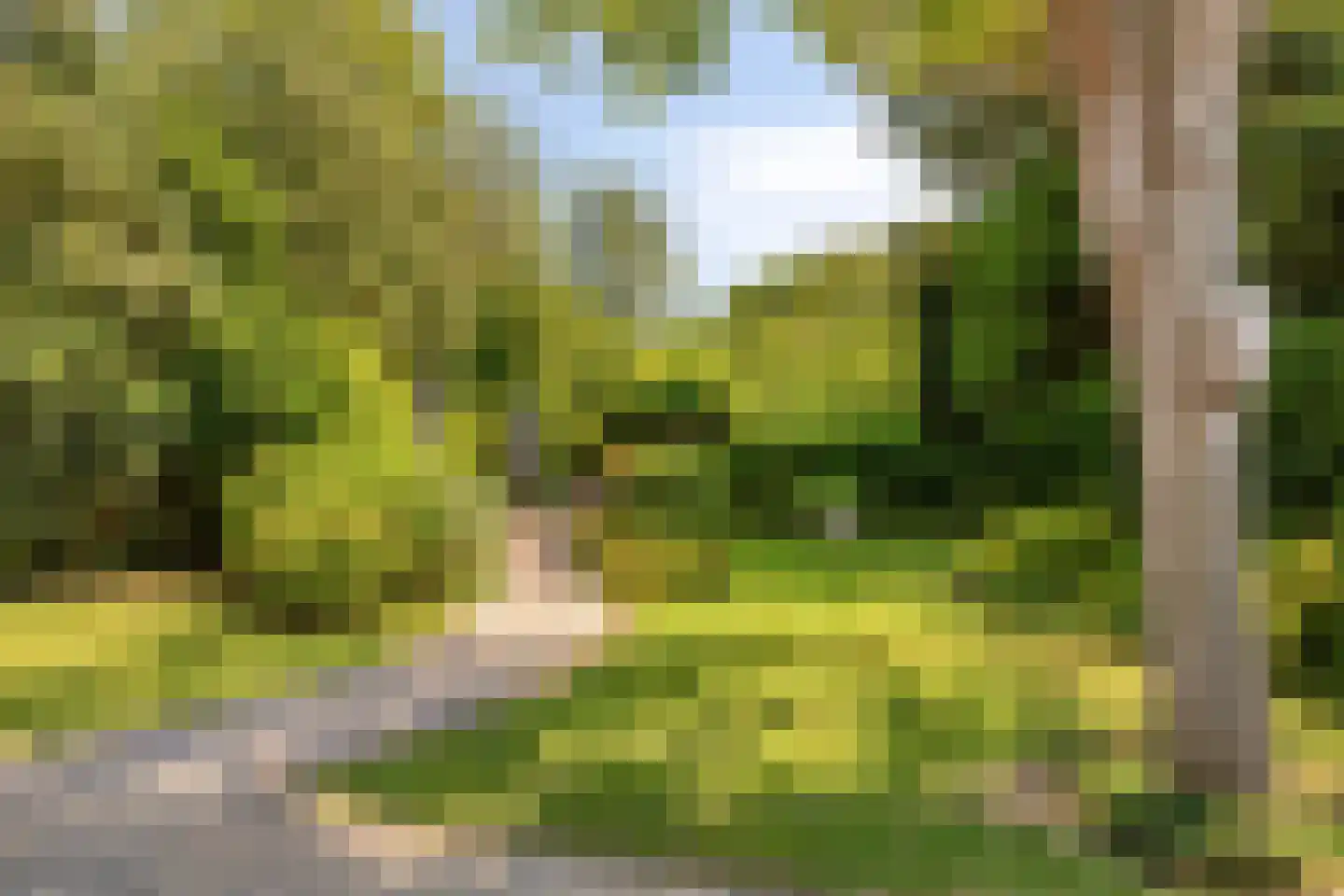 Grevelingenhout 57 Bruinisse thumbnail 53