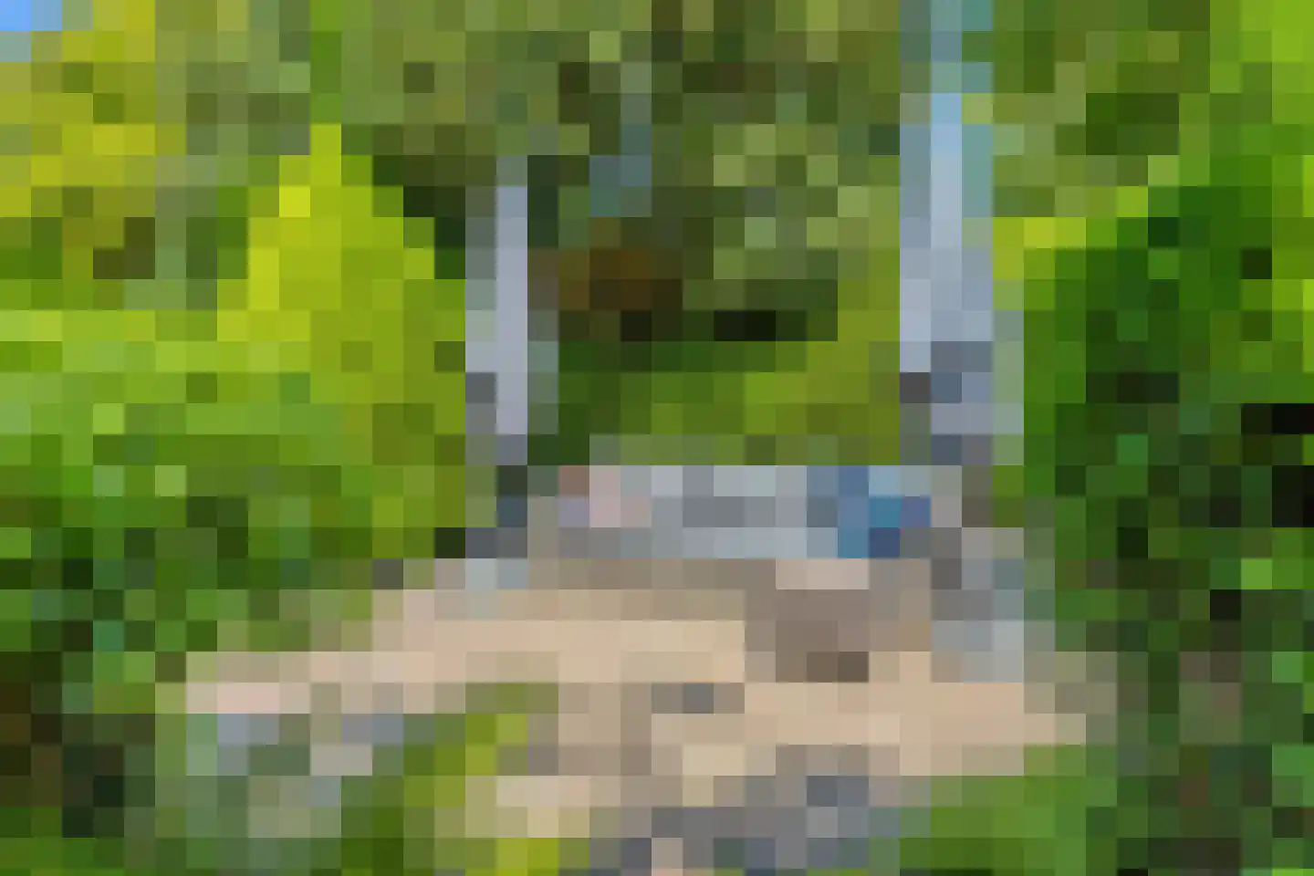 Grevelingenhout 57 Bruinisse thumbnail 54
