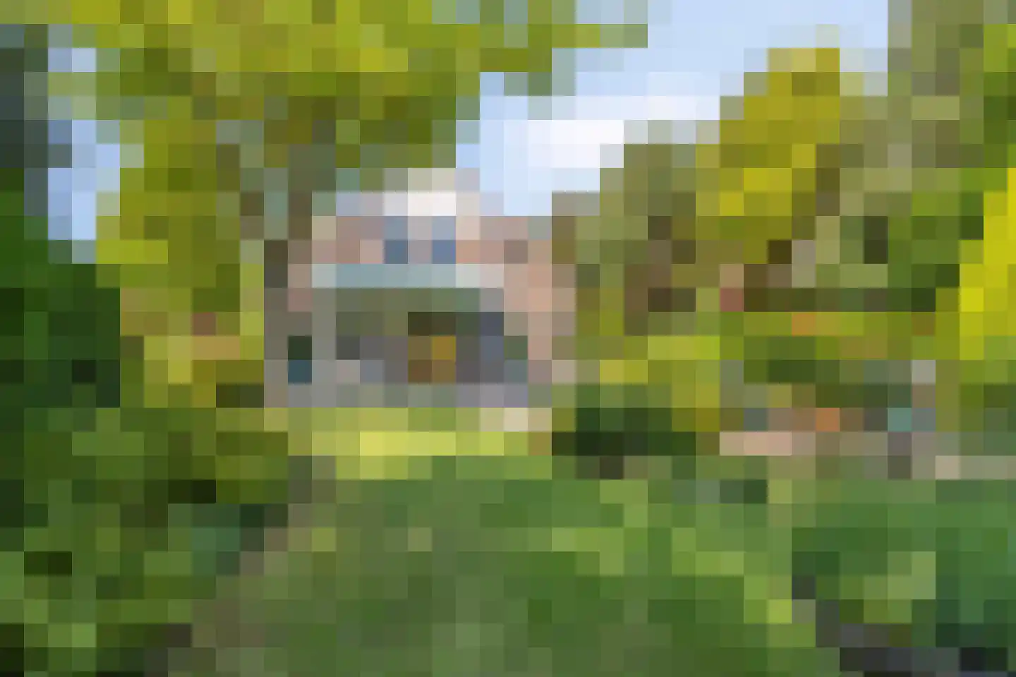 Grevelingenhout 57 Bruinisse thumbnail 56