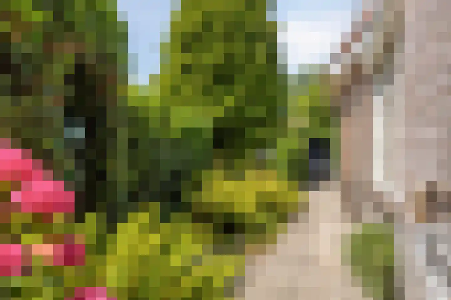 Grevelingenhout 57 Bruinisse thumbnail 58