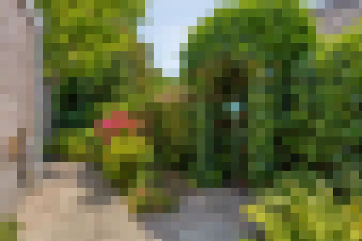 Grevelingenhout 57 Bruinisse thumbnail 59