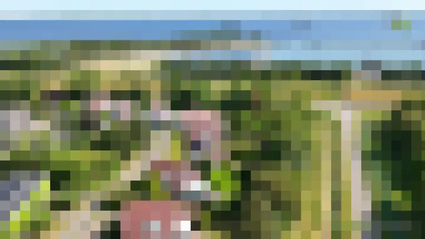 Grevelingenhout 57 Bruinisse thumbnail 64