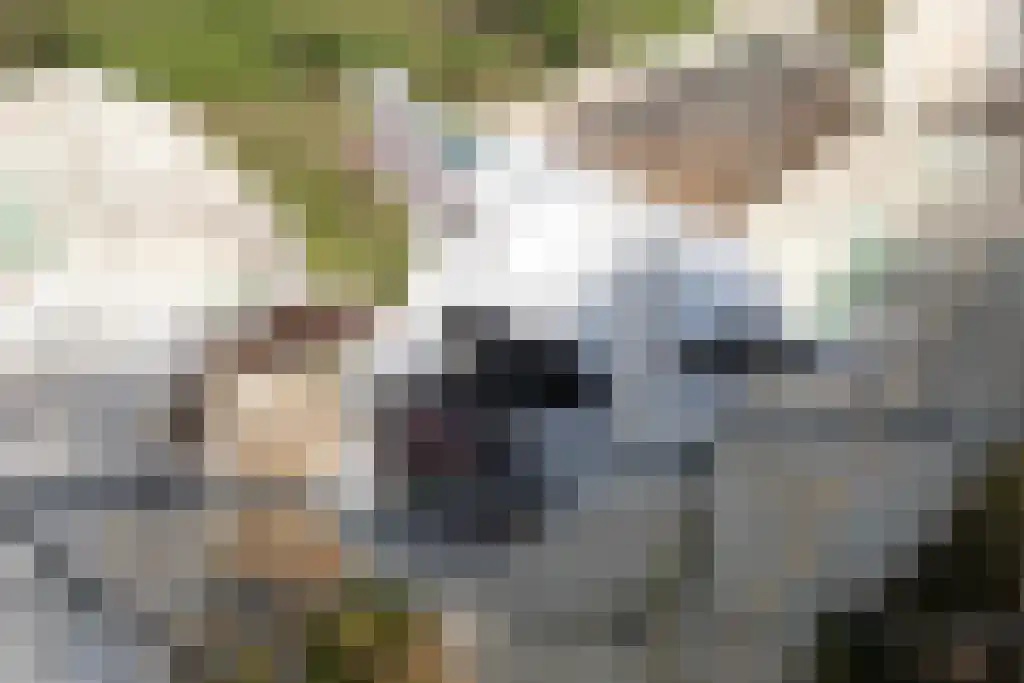 Grevelingenhout 57 Bruinisse thumbnail 70