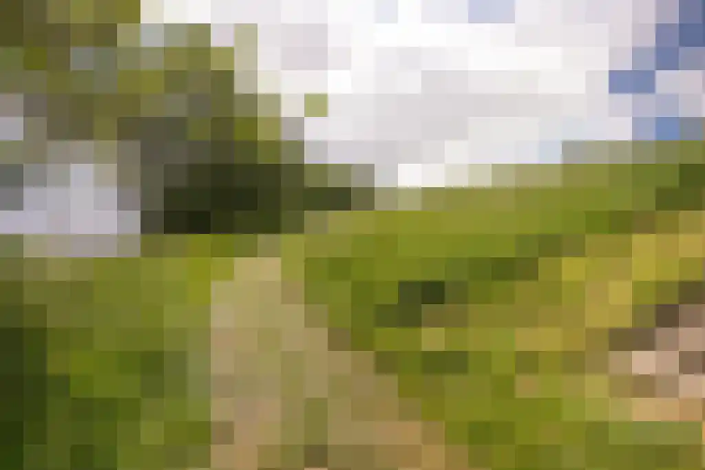 Grevelingenhout 57 Bruinisse thumbnail 71