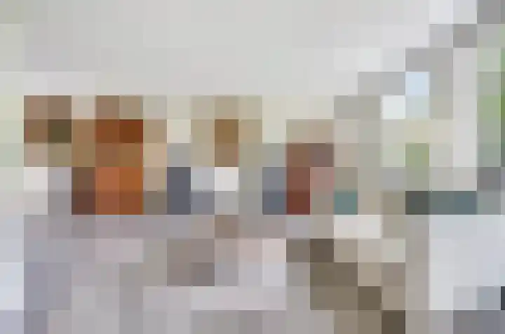 Grevelingenhout 6 Bruinisse thumbnail 12