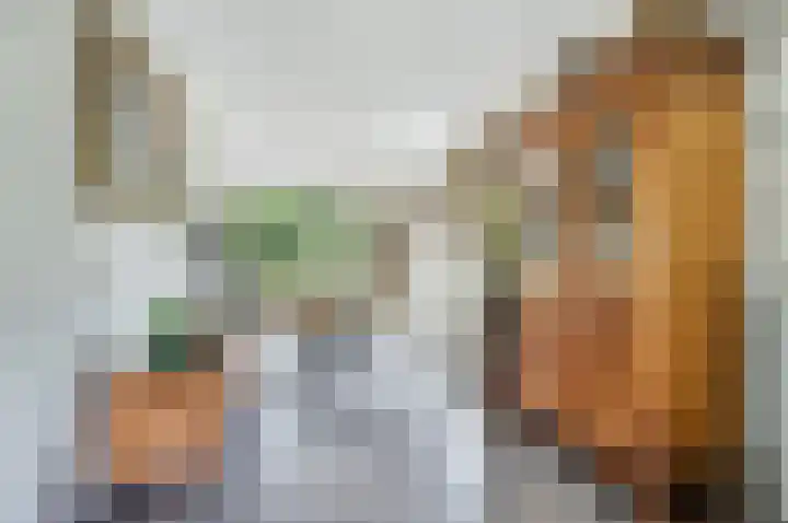 Grevelingenhout 6 Bruinisse thumbnail 13