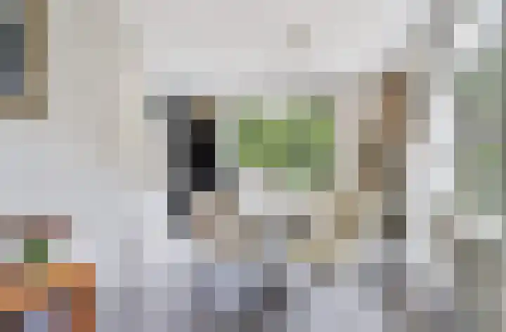 Grevelingenhout 6 Bruinisse thumbnail 14