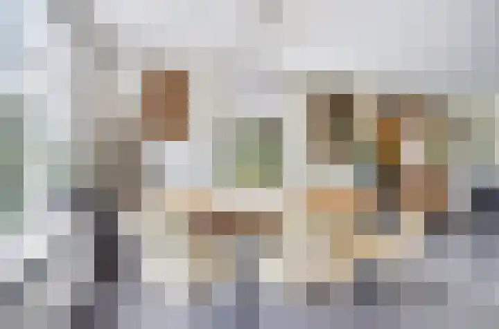 Grevelingenhout 6 Bruinisse thumbnail 15